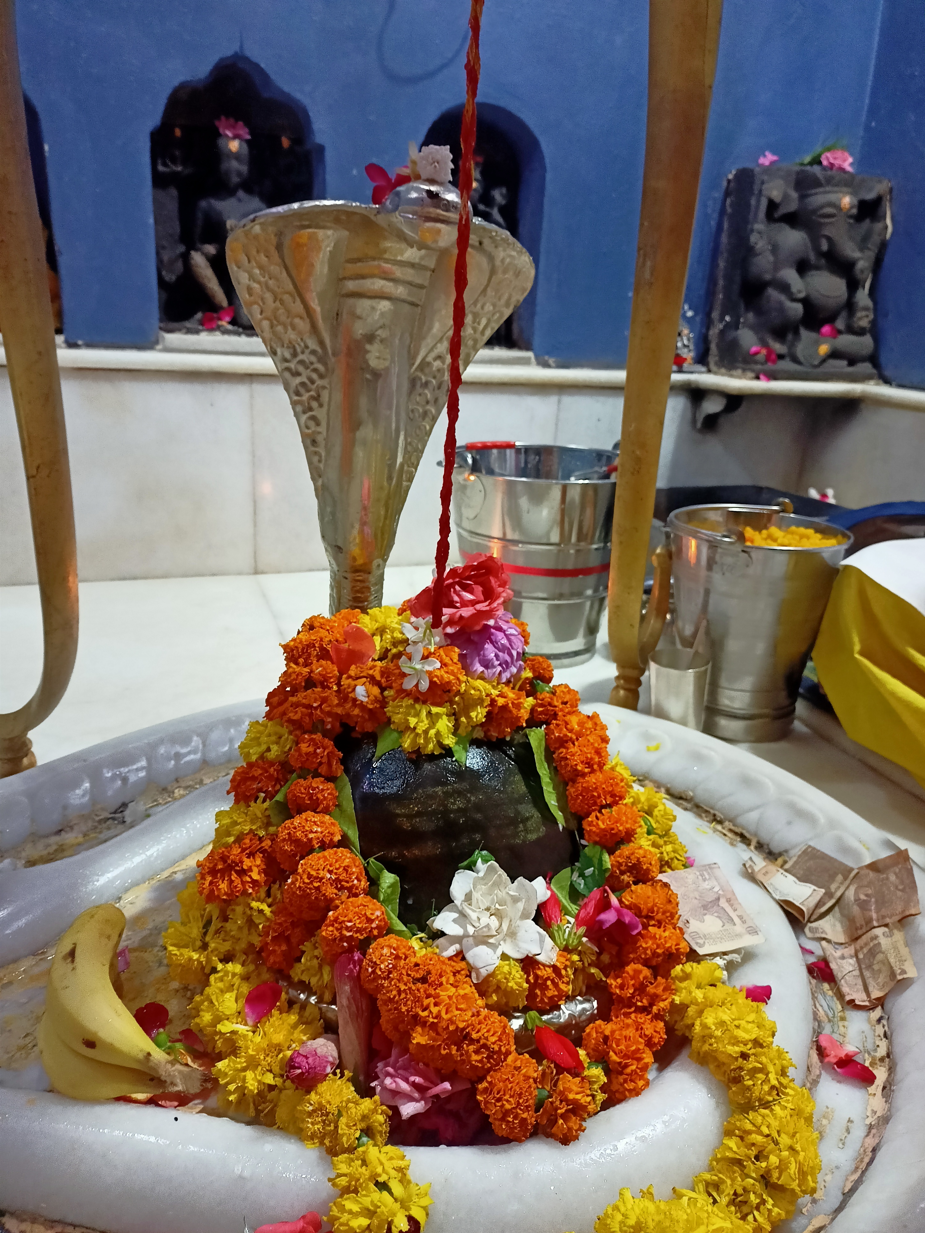 Ashwani Pandit